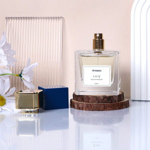 Hot Sale Classic Square Custom Glass Perfume Bottles 30ml 50ml 100ml with Box