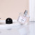 Mold Opening Desgin 50ml 100ml Fine Mist Fragrance Spray Bottle Perfume Glass Bottle with Cap