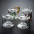 Wholesale 550ml Heat Resistant Glass Teapot with Tea Strainer and Colorful Handle