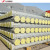 48 Mm Hot Dip and Pre Galvanized Scaffold Formwork Steel Tube