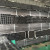 China SS400 Black Welded Square Hollow Section 50x50x2.5 Mm Tube