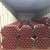 3inch Grooved Pipe/ASTM A795 Fire Pipe/red Coating Pipe